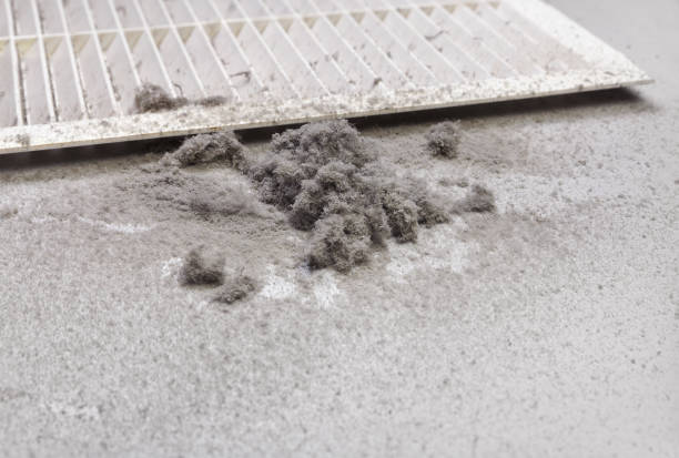 Best Affordable Duct Cleaning Services  in Snow Hill, NC