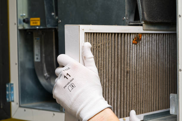Best Dryer Vent Cleaning Services  in Snow Hill, NC
